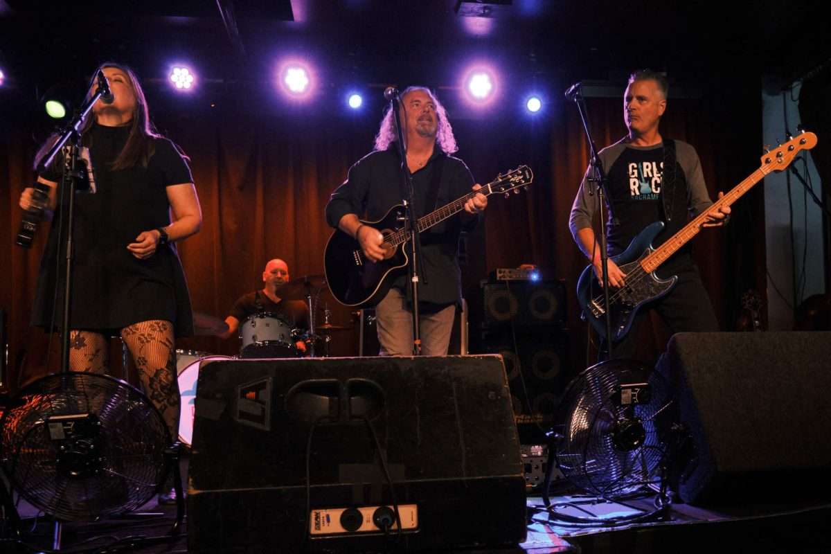 Guitarist, bass player, singer, and drummer